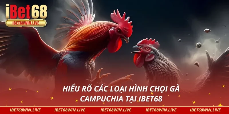 Tổng hợp các hình thức đá gà Campuchia tại IBET68