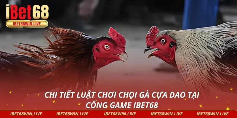 Luật chơi đá gà cựa dao