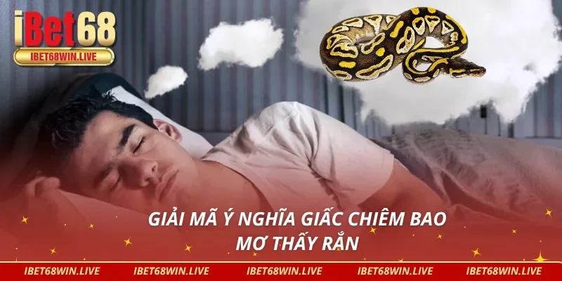 Ý nghĩa giấc chiêm bao mơ thấy rắn